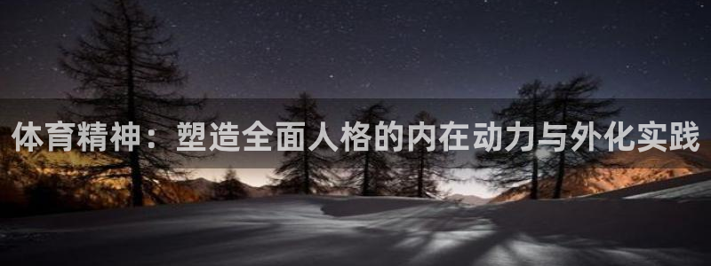 体育精神：塑造全面人格的内在动力与外化实践