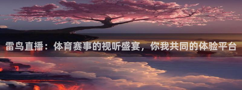 雷鸟直播：体育赛事的视听盛宴，你我共同的体验平台