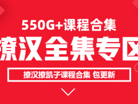 撩汉套路网络课程 百度网盘下载 550G合集