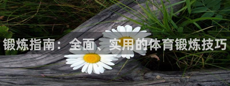 锻炼指南：全面、实用的体育锻炼技巧