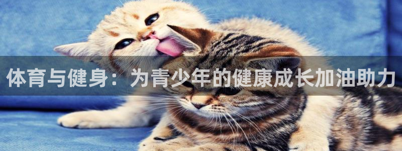 体育与健身：为青少年的健康成长加油助力