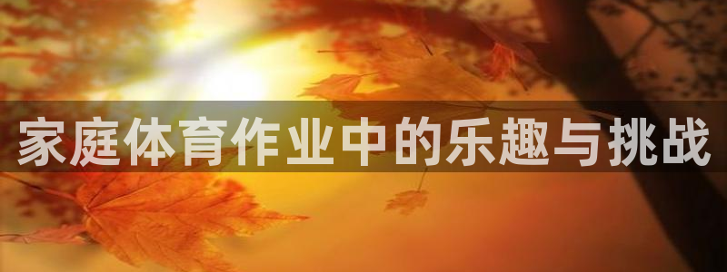 家庭体育作业中的乐趣与挑战