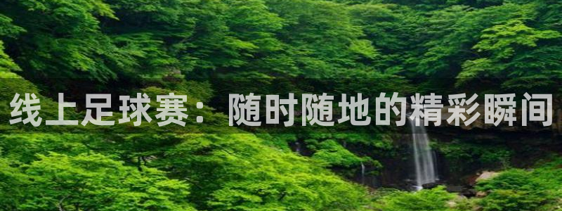 线上足球赛：随时随地的精彩瞬间