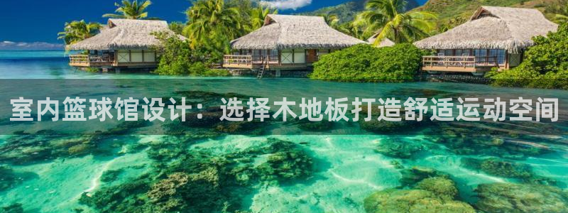 360网络：室内篮球馆设计：选择木地板打造舒适运动空间