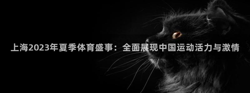 足球直播吧360直播：上海2023年夏季体育盛事：全面展现中国运动活力与激情