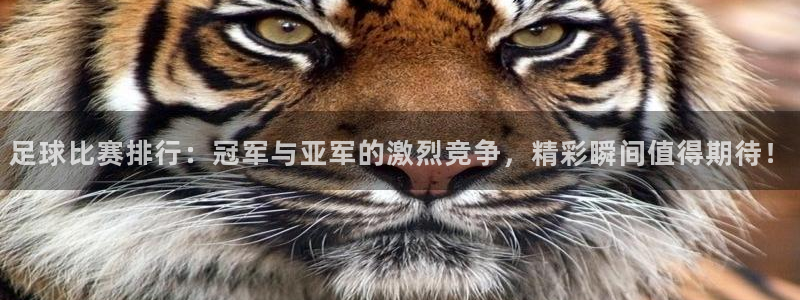 360美女直播：足球比赛排行：冠军与亚军的激烈竞争，精彩瞬间值得期待！