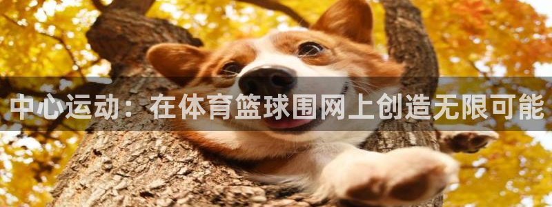 广东体育直播频道360：中心运动：在体育篮球围网上创造无限可能