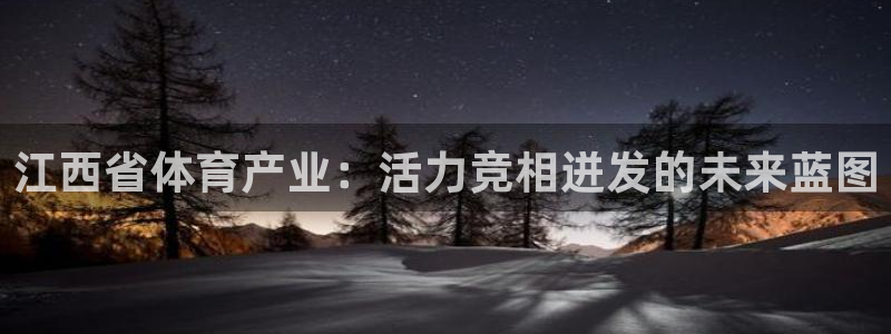 360app下载安装：江西省体育产业：活力竞相迸发的未来蓝图