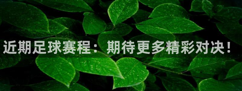 360助手app下载安装：近期足球赛程：期待更多精彩对决！